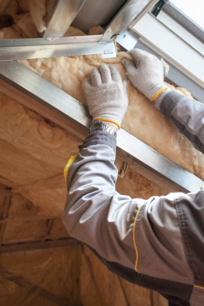 Best Spray Foam Insulation  in Whitesboro, TX
